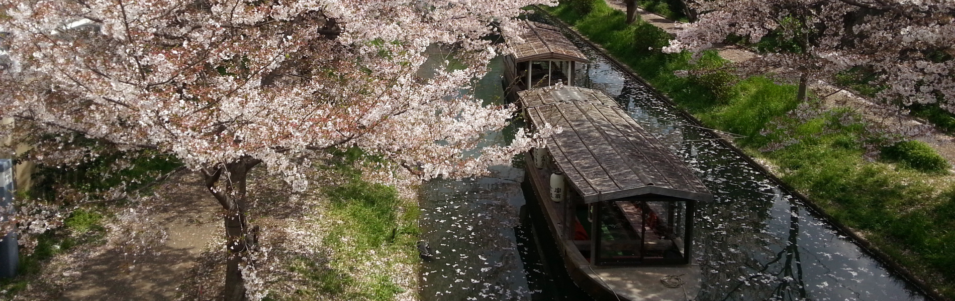 Le printemps au Japon